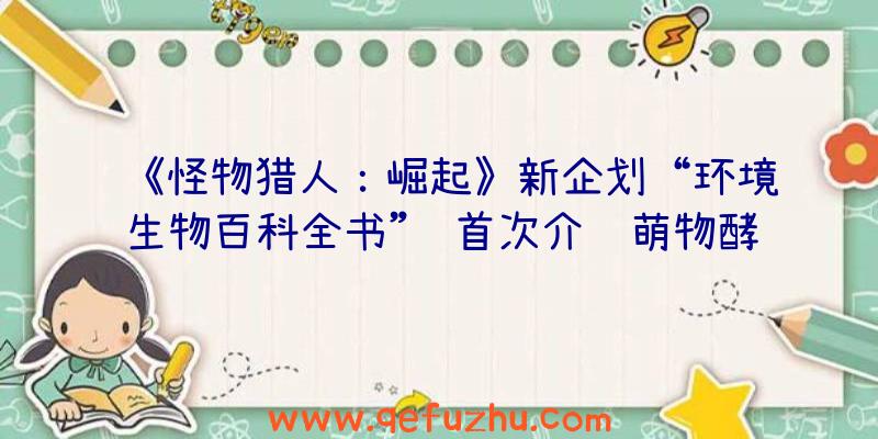 《怪物猎人：崛起》新企划“环境生物百科全书”